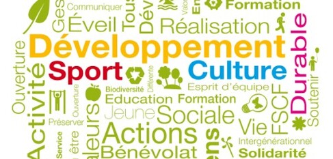 Responsabilité Sociétale des Organisations